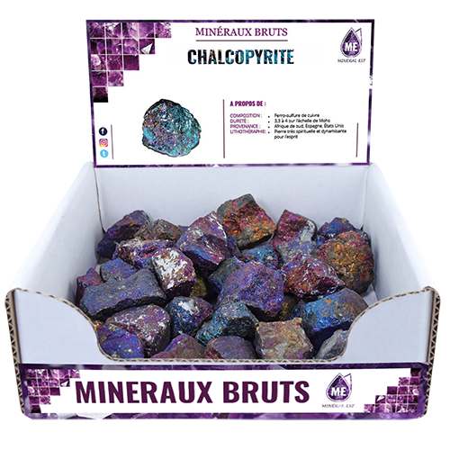 BOITE PRÉSENTOIR CHALCOPYRITE 5à7CM (x25pcs) Qualité A