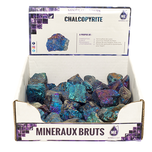 BOITE PRÉSENTOIR CHALCOPYRITE 5à7CM (x25pcs) Qualité SUPER EXTRA