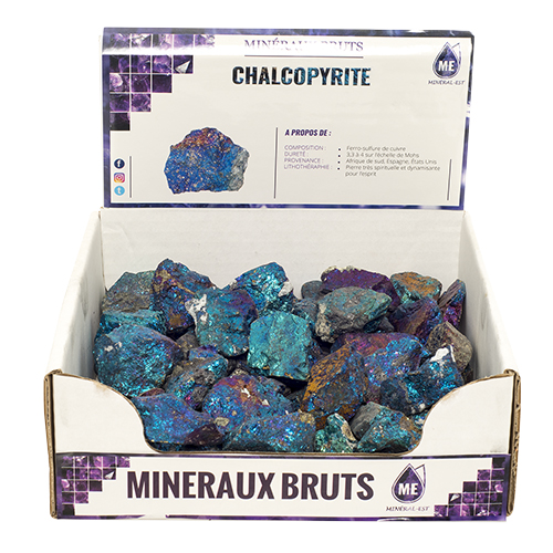 BOITE PRÉSENTOIR CHALCOPYRITE 3à5CM (x35pcs) Qualité SUPER EXTRA