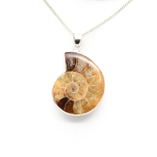 PENDENTIF AMMONITE (La pièce)