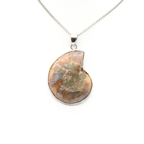 PENDENTIF AMMONITE (La pièce)