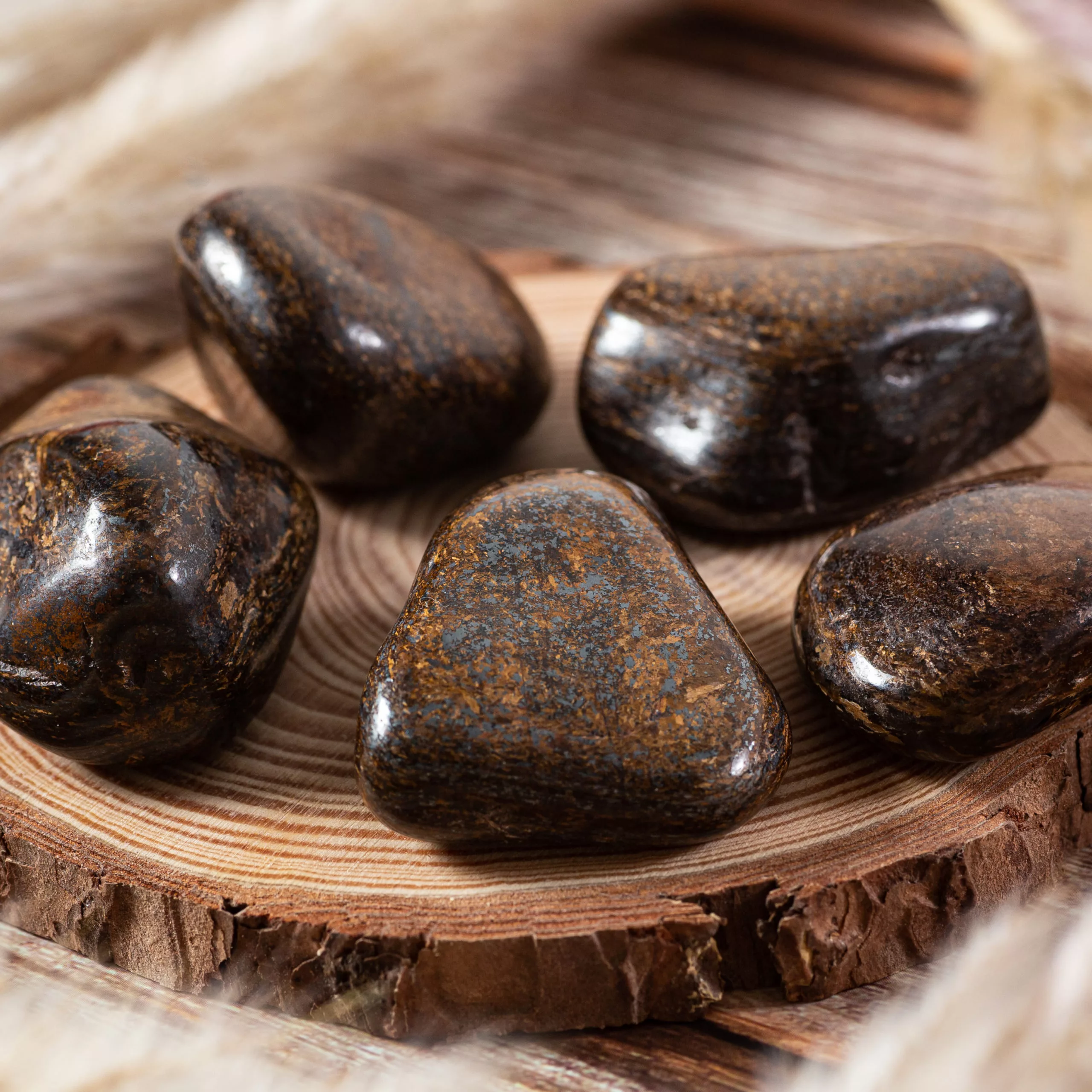 L’histoire du Bronzite