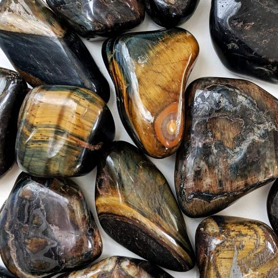 L’histoire de l’œil de faucon