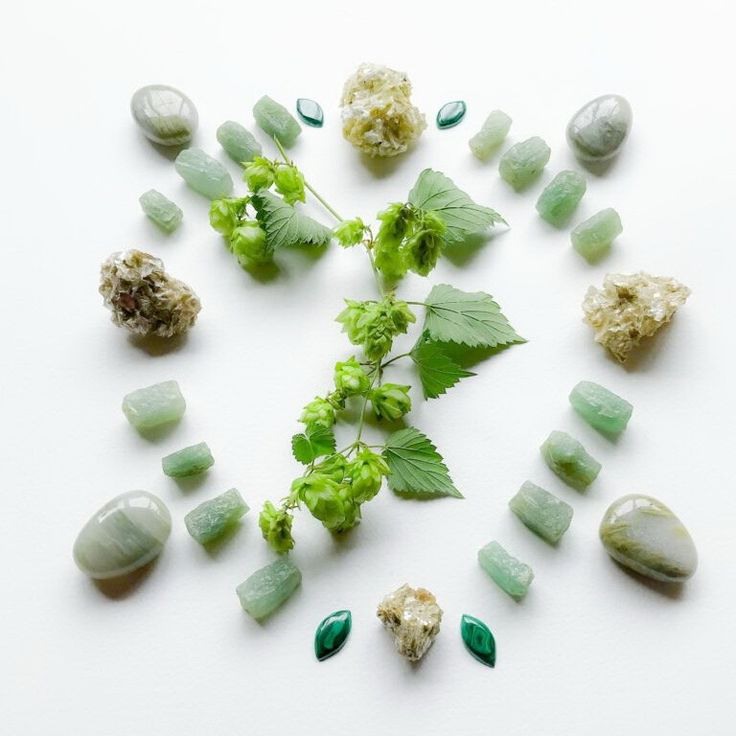 Nettoyer et recharger La Jade